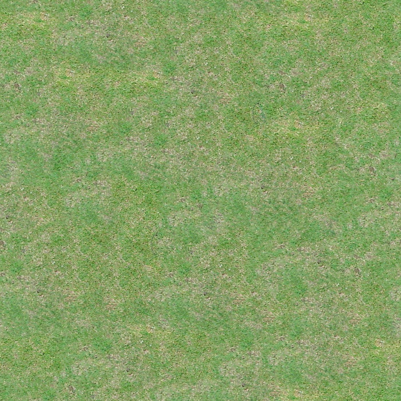Grass Texture Seamless Seamless Texture Grass Textures Lawn Field Wild