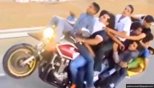 wheelie shoes for adults