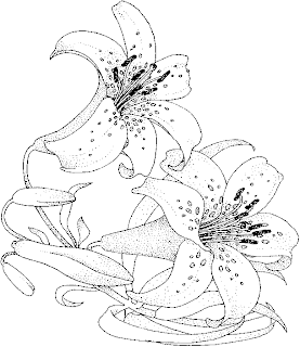 pictures of flowers for coloring