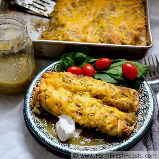 Creamy mashed potatoes and tender tatsoi greens, flavored with caramelized onions and salsa verde, fill these vegetarian enchiladas. Topped with plenty more salsa verde and cheese, it's a filling meal.