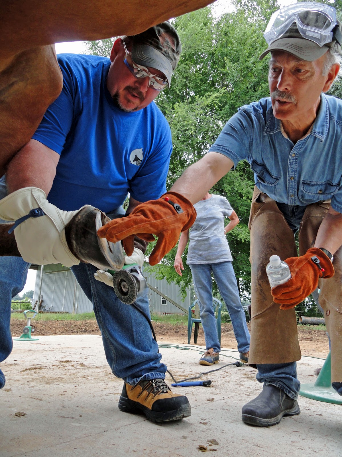 Mustang Dreams.... Trimming hooves with an angle grinder...