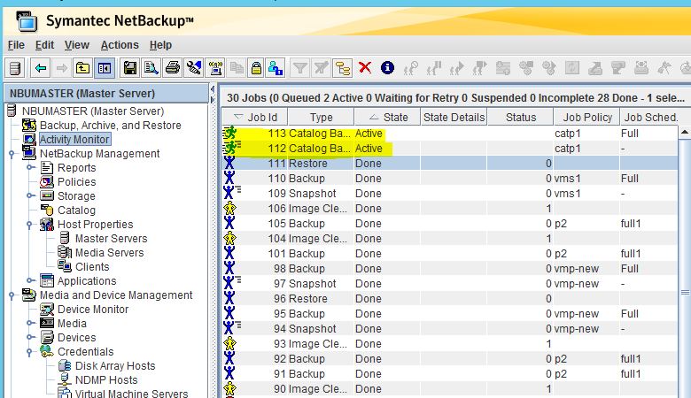 Remote Infrastructure Management: NetBackup 7.7.2 Catalog Administration