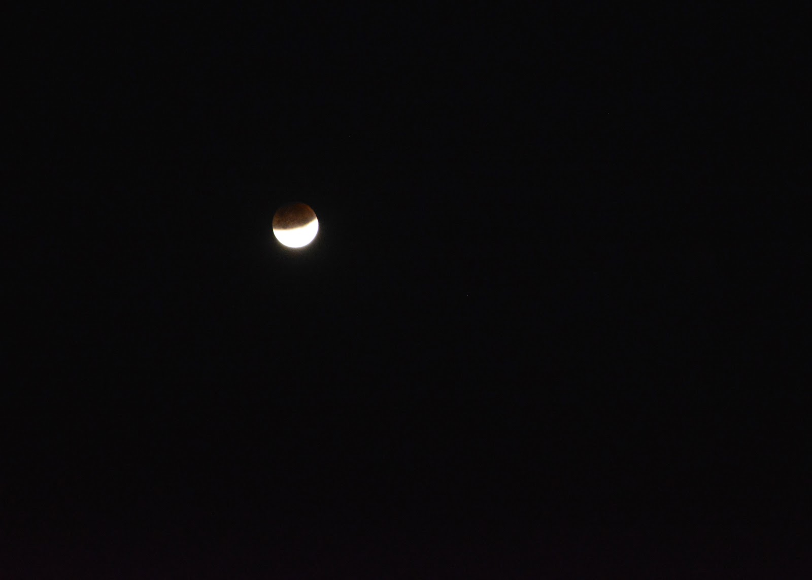 lulu-and-papa-super-blue-blood-moon