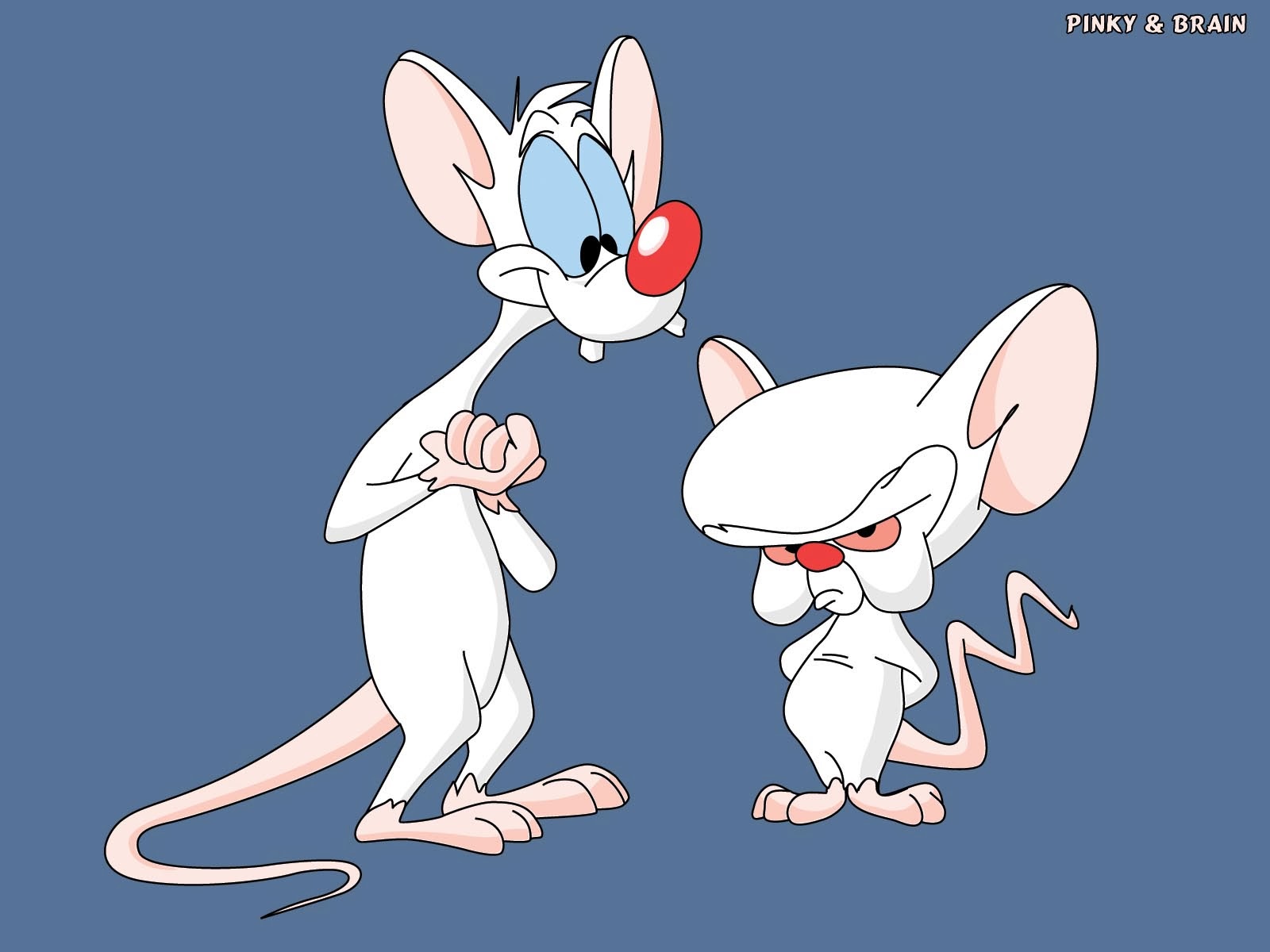 mvvie-monday-steven-spielberg-presents-pinky-elmyra-the-brain-the