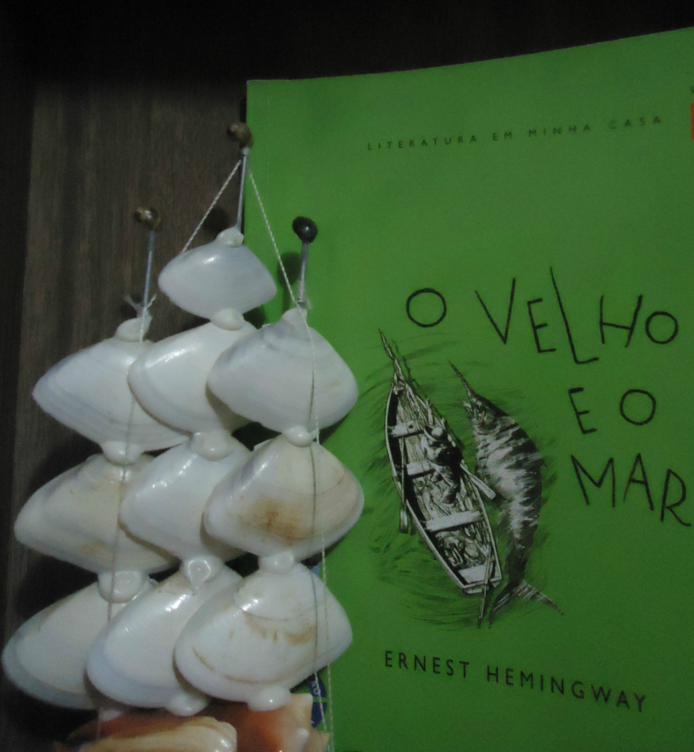 [LIVRO] O Velho e o Mar Ernest Hemingway Tudo que motiva