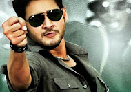 Dookudu 2 weeks Collections @ Area wise