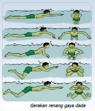 Latihan renang gaya dada dapat dilakukan di kolam dangkal dengan kedalaman sekitar