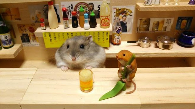 Un chouette restaurant japonais tenu par des petits hamsters  Un%2Brestaurant%2Btenu%2Bpar%2Bdes%2Bhamsters%2Bphoto%2B4