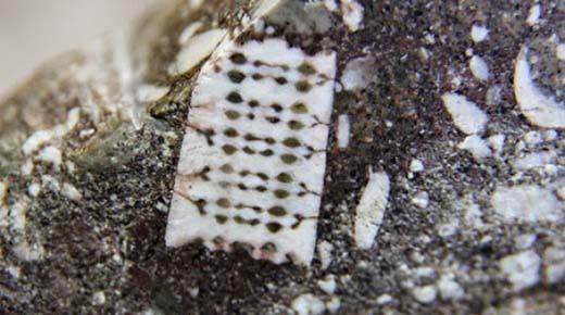 La piedra de 250 millones de años de antigüedad con un microchip impreso