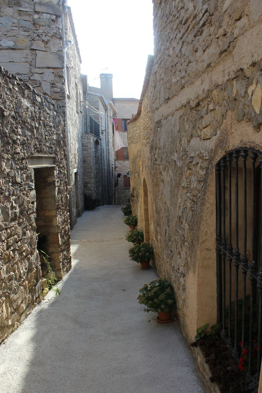 Savallà del Comtat Cosetano