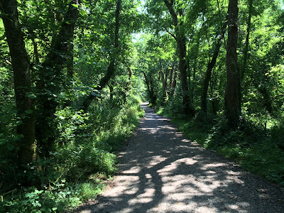 Pentewan cycle trail shady route down picturesque paths Cycle route through woods