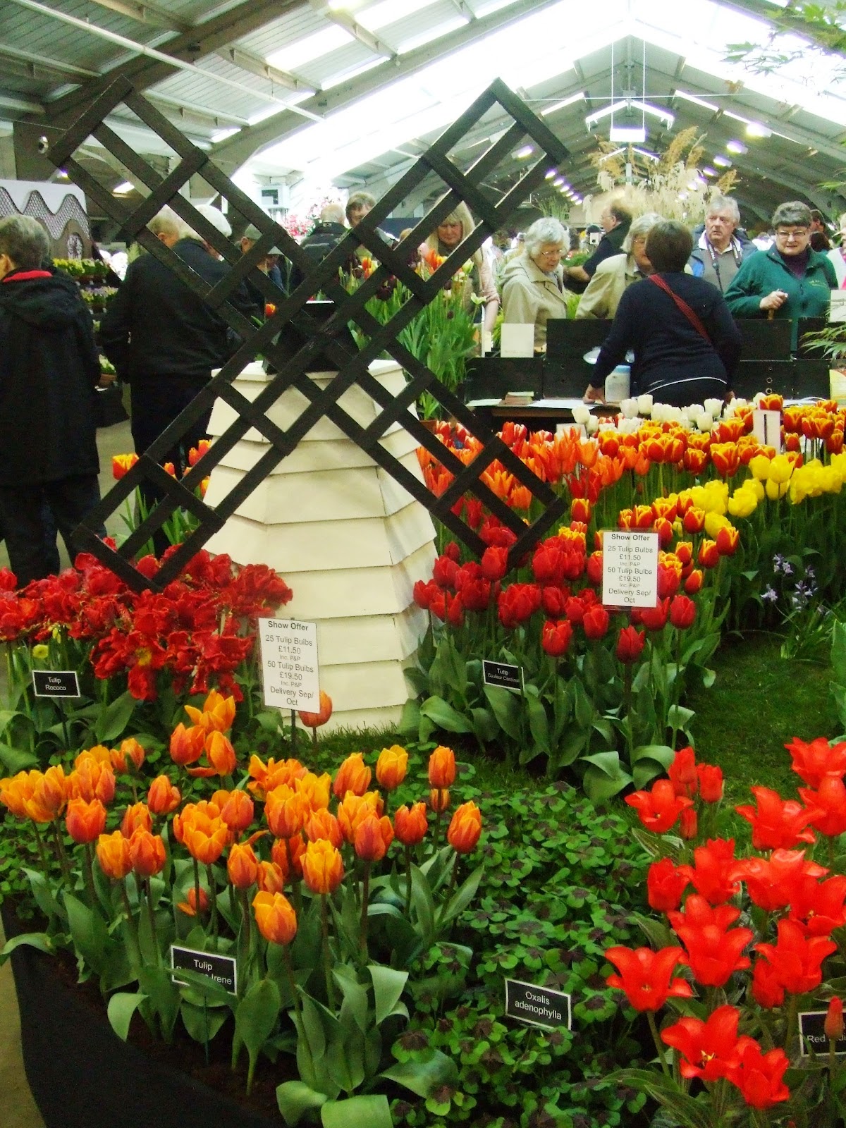 A Garden for Pablo Harrogate Spring Flower Show