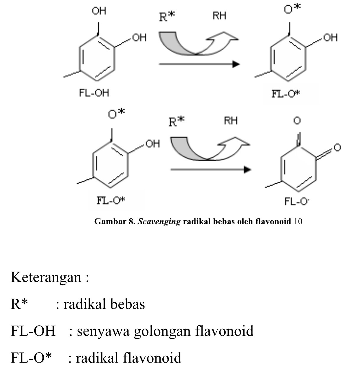 My Chemistry Journey FLAVONOID