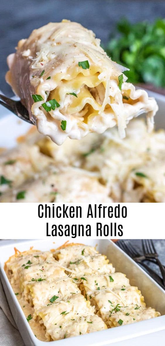 CHICKEN ALFREDO LASAGNA ROLL UPS #CHICKEN #ALFREDO #LASAGNA #ROLL #UPS Desserts, Healthy Food, Easy Recipes, Dinner, Lauch, Delicious, Easy, Holidays Recipe, Special Diet, World Cuisine, Cake, Grill, Appetizers, Healthy Recipes, Drinks, Cooking Method, Italian Recipes, Meat, Vegan Recipes, Cookies, Pasta Recipes, Fruit, Salad, Soup Appetizers, Non Alcoholic Drinks, Meal Planning, Vegetables, Soup, Pastry, Chocolate, Dairy, Alcoholic Drinks, Bulgur Salad, Baking, Snacks, Beef Recipes, Meat Appetizers, Mexican Recipes, Bread, Asian Recipes, Seafood Appetizers, Muffins, Breakfast And Brunch, Condiments, Cupcakes, Cheese, Chicken Recipes, Pie, Coffee, No Bake Desserts, Healthy Snacks, Seafood, Grain, Lunches Dinners, Mexican, Quick Bread, Liquor CHICKEN ALFREDO LASAGNA ROLL UPS #CHICKEN #ALFREDO #LASAGNA #ROLL #UPS Desserts, Healthy Food, Easy Recipes, Dinner, Lauch, Delicious, Easy, Holidays Recipe, Special Diet, World Cuisine, Cake, Grill, Appetizers, Healthy Recipes, Drinks, Cooking Method, Italian Recipes, Meat, Vegan Recipes, Cookies, Pasta Recipes, Fruit, Salad, Soup Appetizers, Non Alcoholic Drinks, Meal Planning, Vegetables, Soup, Pastry, Chocolate, Dairy, Alcoholic Drinks, Bulgur Salad, Baking, Snacks, Beef Recipes, Meat Appetizers, Mexican Recipes, Bread, Asian Recipes, Seafood Appetizers, Muffins, Breakfast And Brunch, Condiments, Cupcakes, Cheese, Chicken Recipes, Pie, Coffee, No Bake Desserts, Healthy Snacks, Seafood, Grain, Lunches Dinners, Mexican, Quick Bread, Liquor