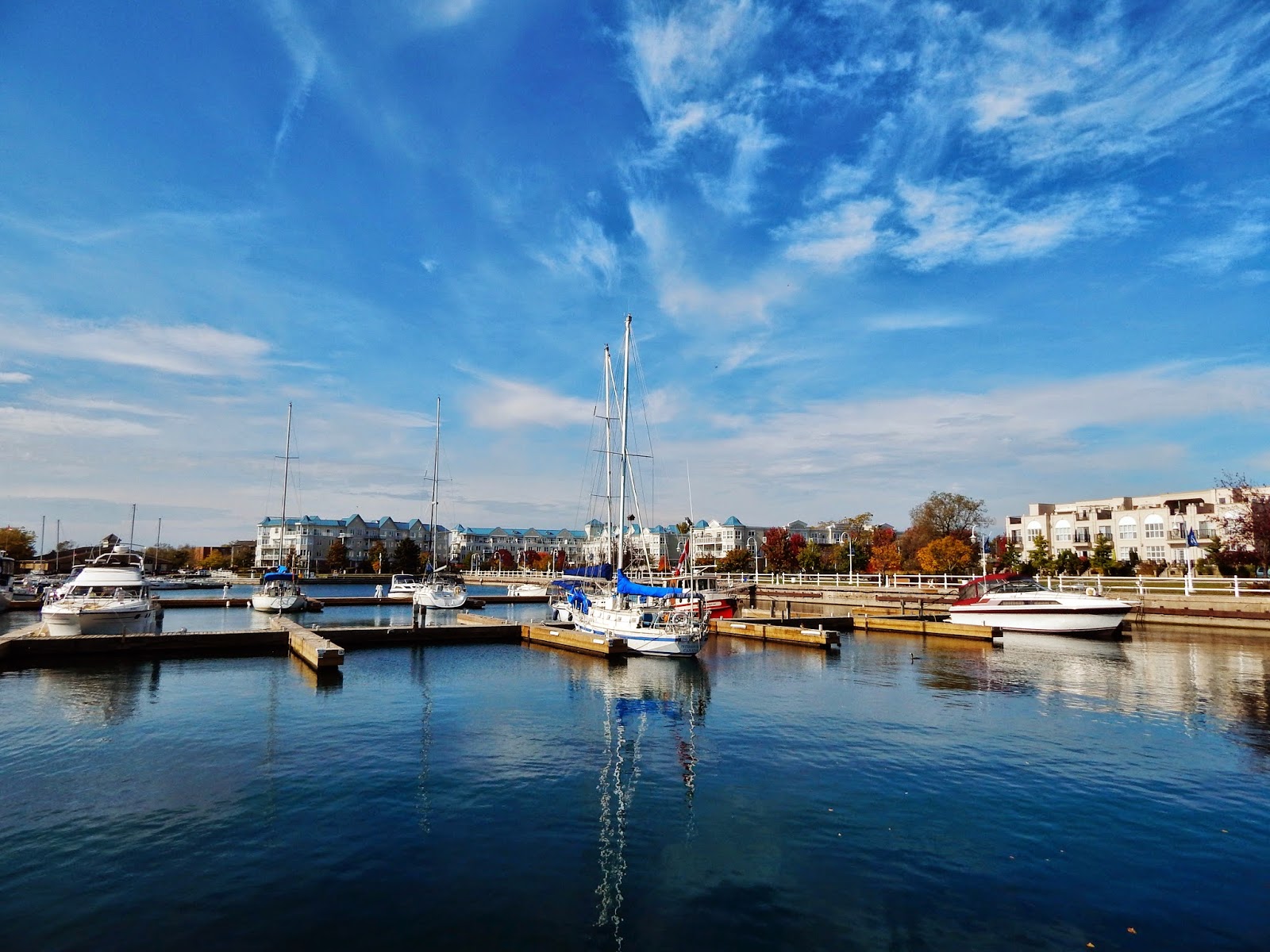 Patti Friday Cobourg Ontario Waterfront