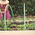 She Attaches 4 Hoops to Her Small Garden. What She is Making is Genius!