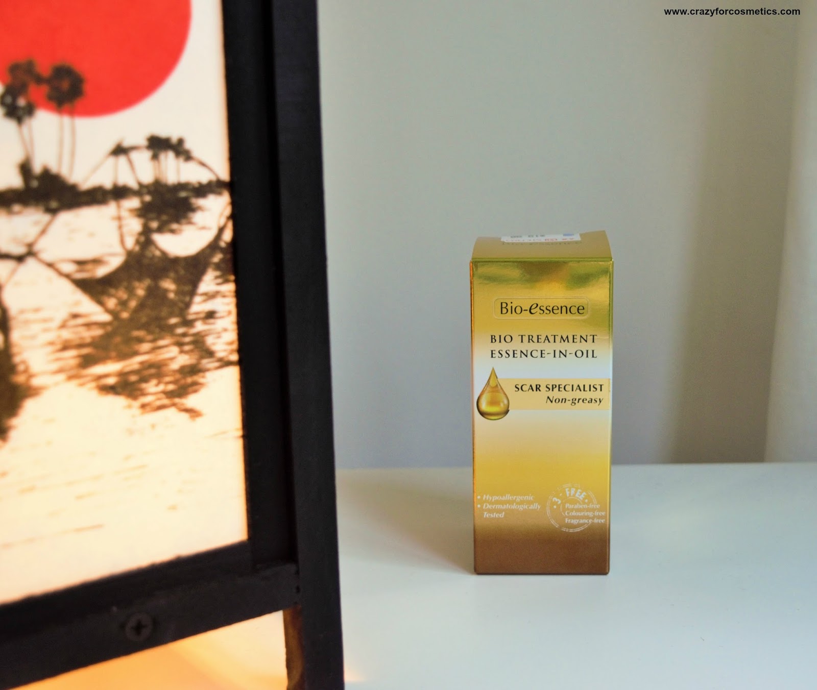 Bio Essence Bio Treatment Essence in Oil Review Crazy for Cosmetics