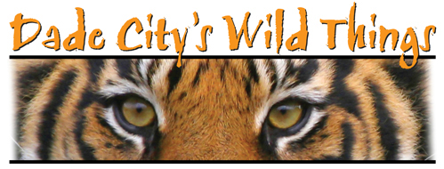 Dade City Wild Things Zoo