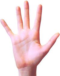 छोटी ऊँगली (कनिष्ठा) की विशेषताएं - little finger meaning in palmistry छोटी ऊँगली (कनिष्ठा) की विशेषताएं - little finger meaning in palmistry