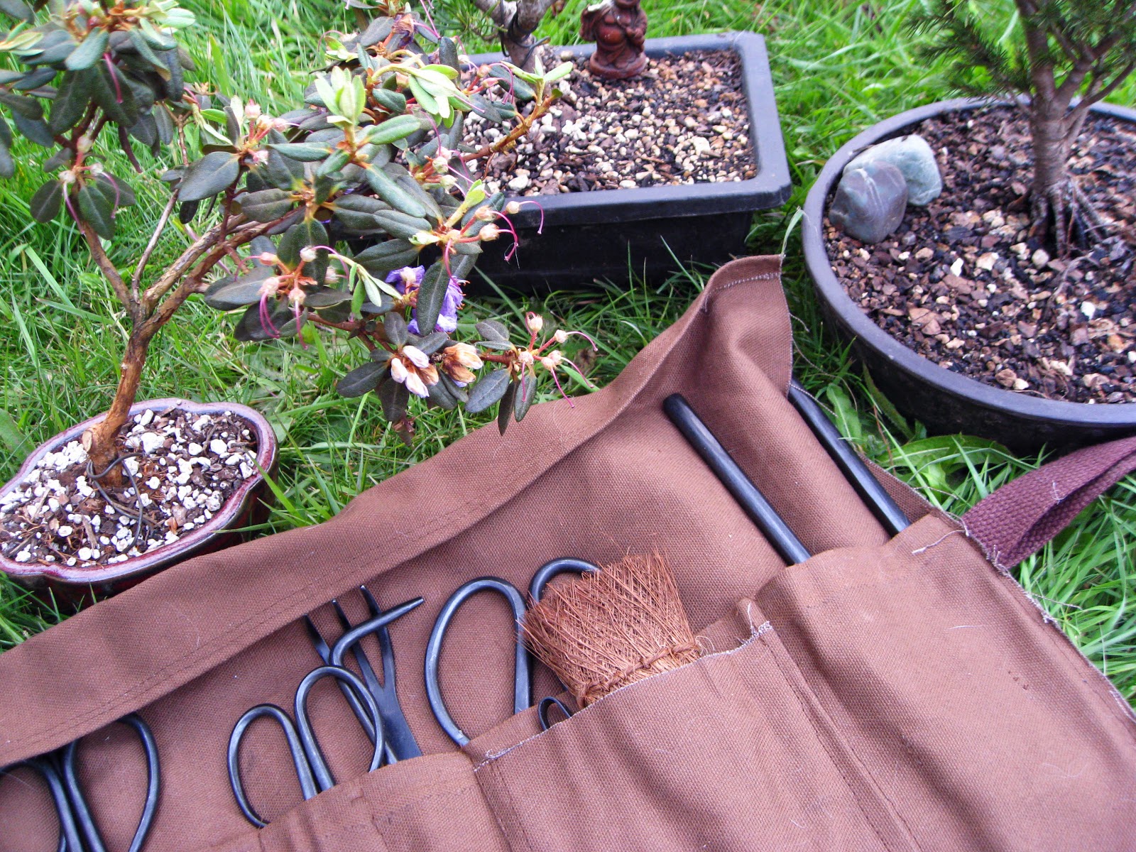 Buttons & Buttercream Bonsai Tool RollUp Bag