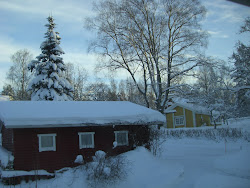 Kylmä ja luminen joulu 2012