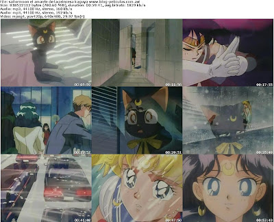 Sailor Moon S: El amor de la princesa Kaguya dvdrip latino
