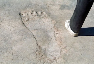 Ancient Giants foot prints.