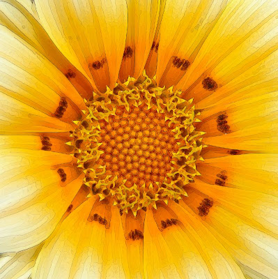 closeup flower photography