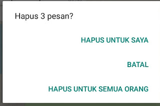 Kita Bisa Memilih Untuk Menghapus Beberapa Pesan Sekaligus Kita Bisa Memilih Untuk Menghapus Beberapa Pesan Sekaligus