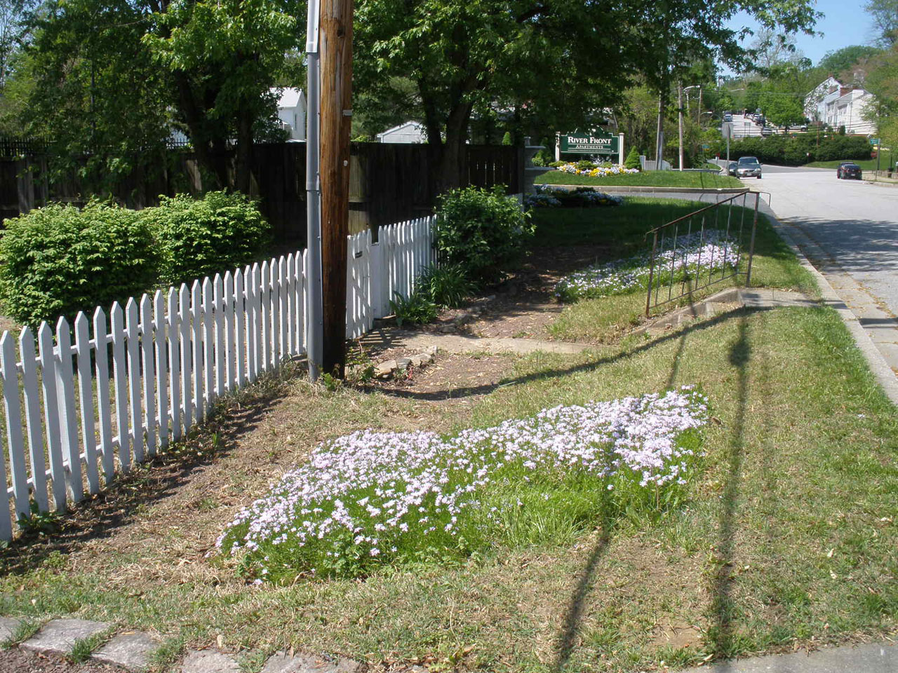 Life is Good : ): April 2011