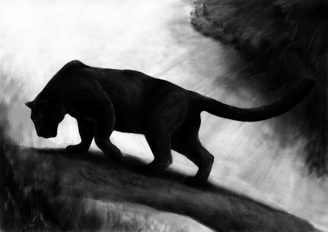 Panther - HD Wallpapers | Earth Blog