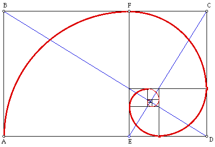 Espiral de fibonacci forex