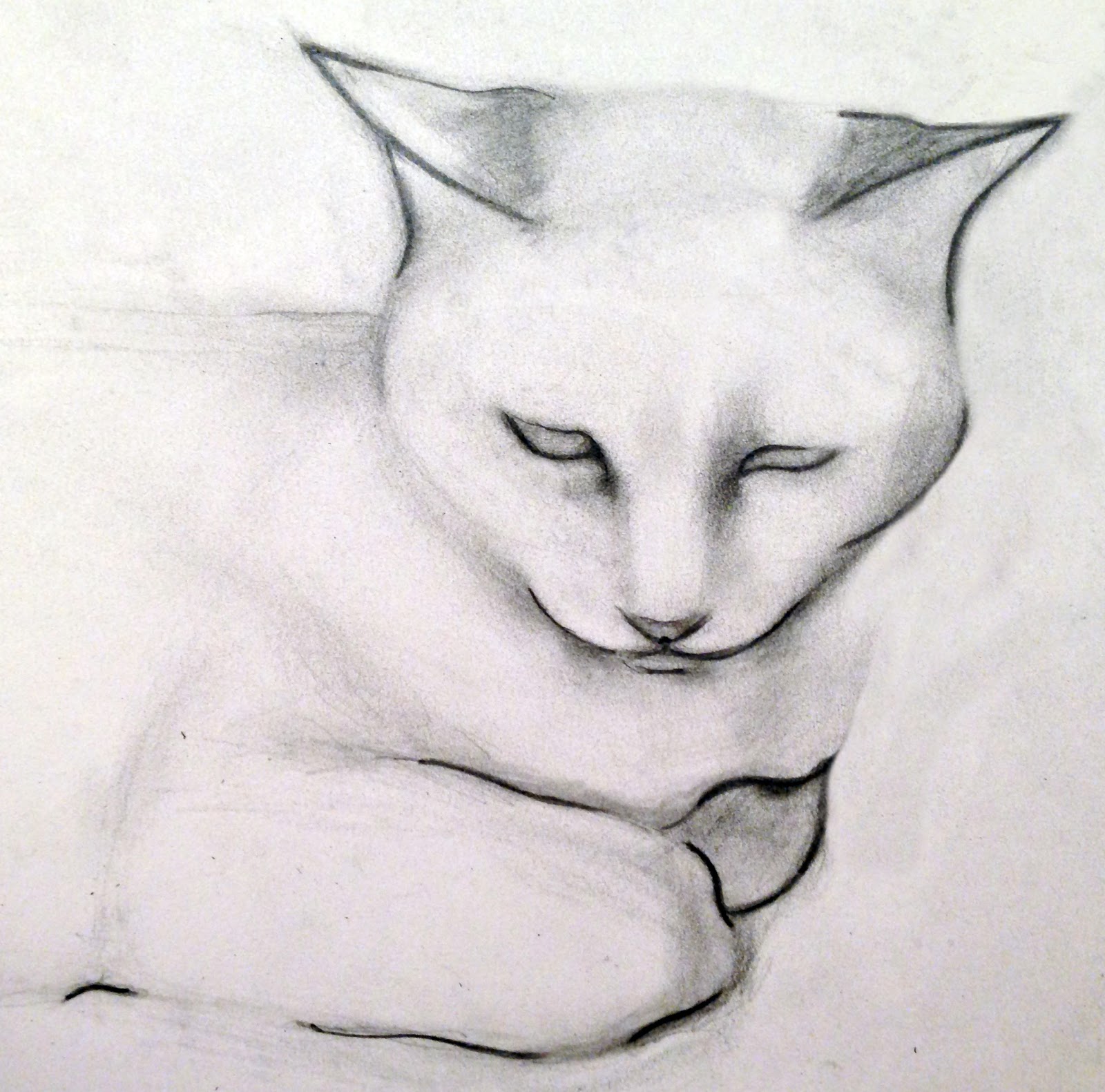 Drawing Cat Pics - 37+ Cat Drawing In Pencil | Bodaswasuas