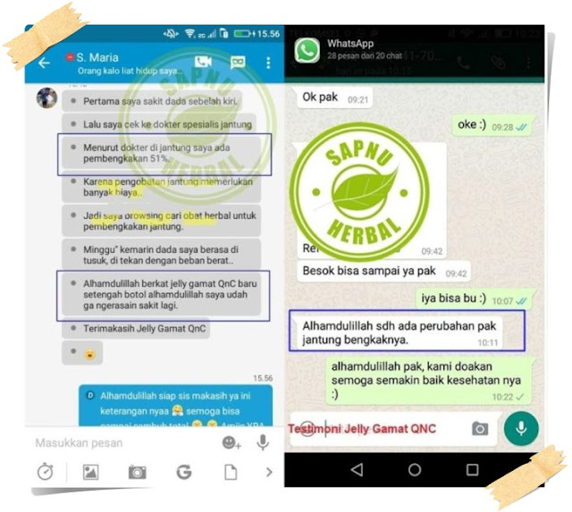 Obat Jantung Bengkak Tradisional Paling Ampuh Obat Jantung Bengkak Tradisional