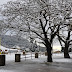 Γ.Καλλιάνος:Παράταση του κρύου και των χιονοπτώσεων μέχρι την Κυριακή 24 Δεκεμβρίου