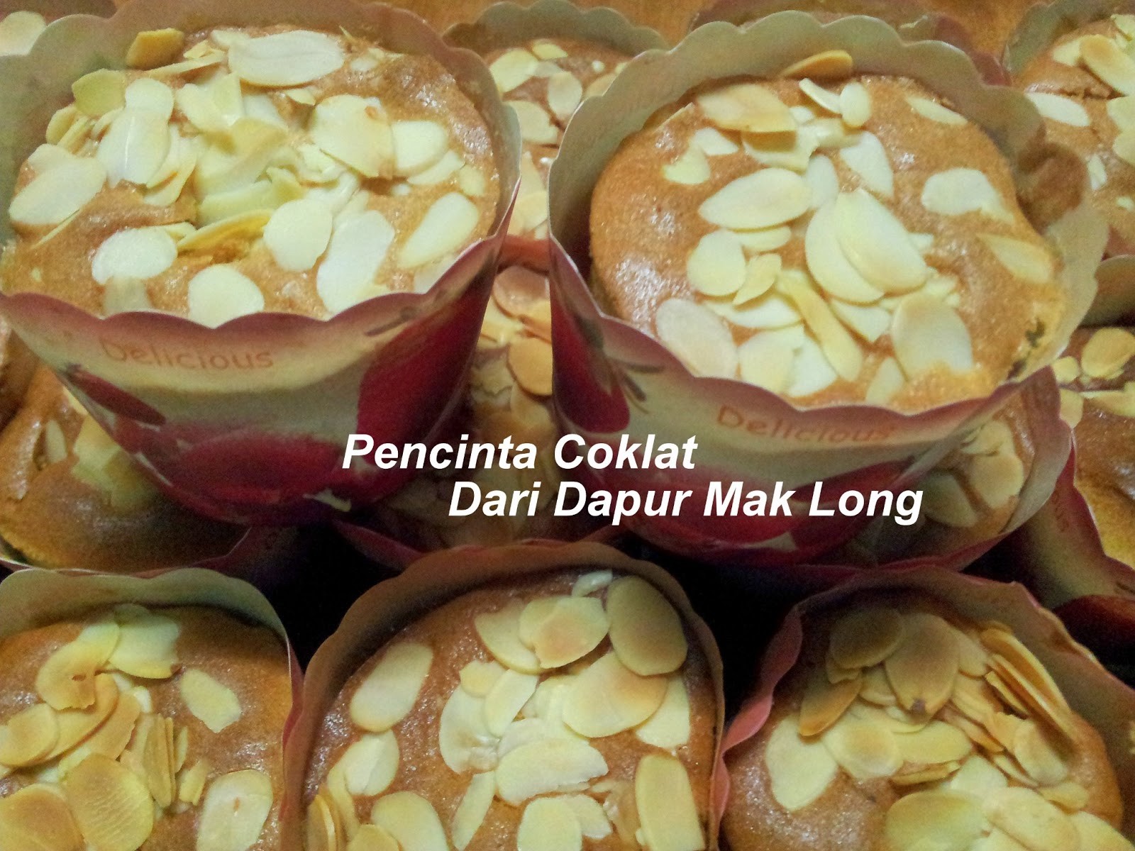 Pencinta Lat Dari Dapur Mak Long Vanila Cupcakes Dan Pencinta Lat Dari Dapur Mak Long