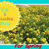 Top 5 Garden Picks for Spring