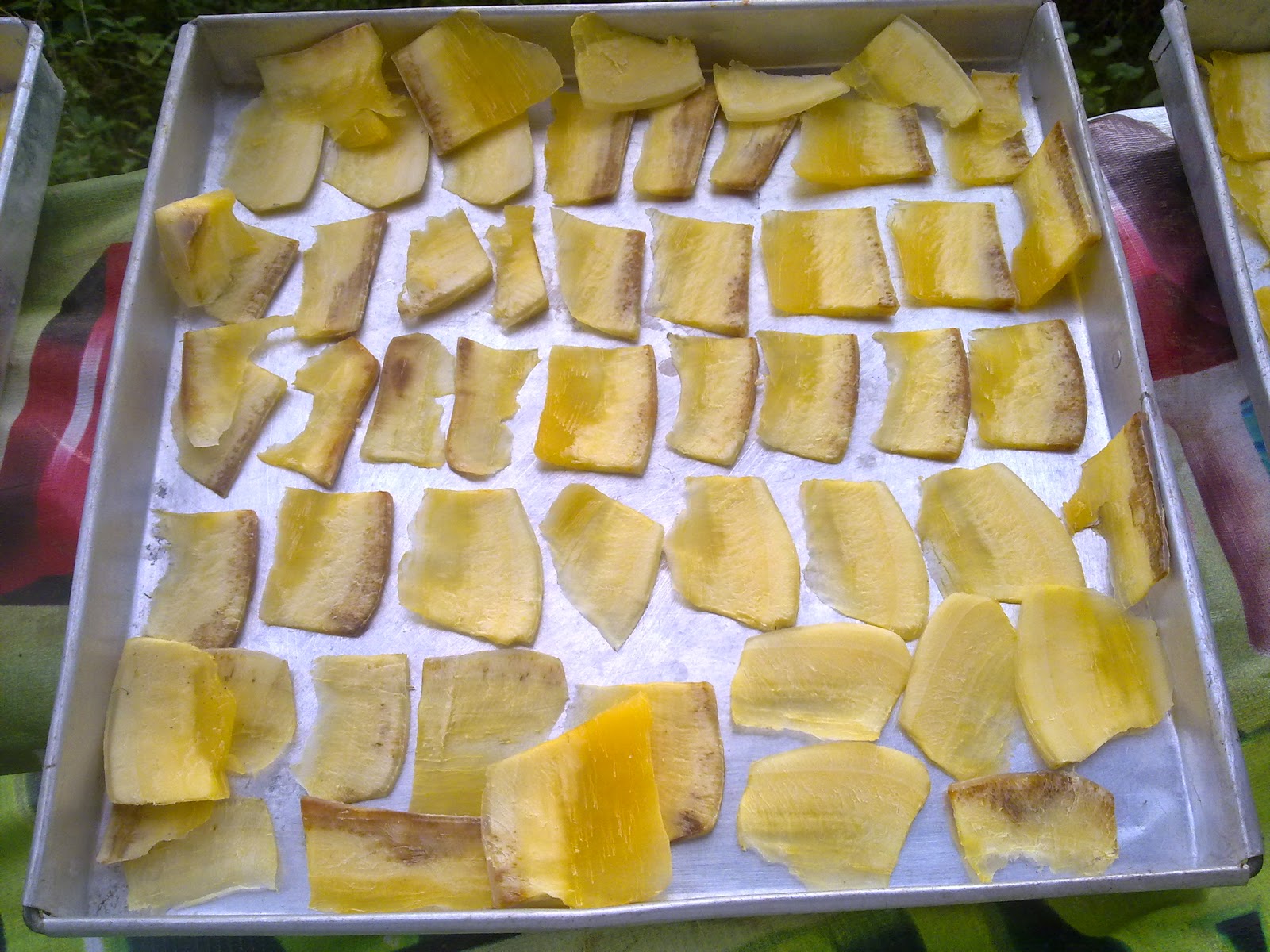 Indonesia Tourism Proses Pembuatan Manggleng Singkong Empuk Dan Renyah