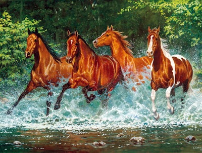 caballos-sobre-agua-paisaje-fondo