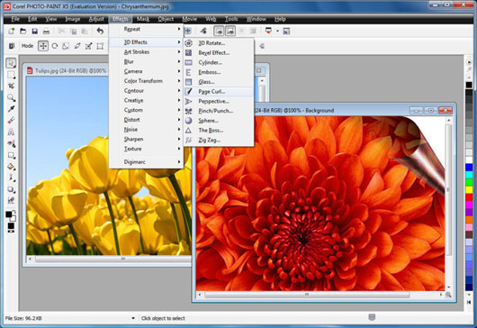 corel 16 corel 16