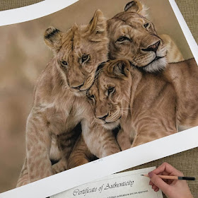 10-Baby-Lions-and-Mother-Danielle-Fisher-Realistic-Animal-Portrait-Pastel-Drawings-www-designstack-co