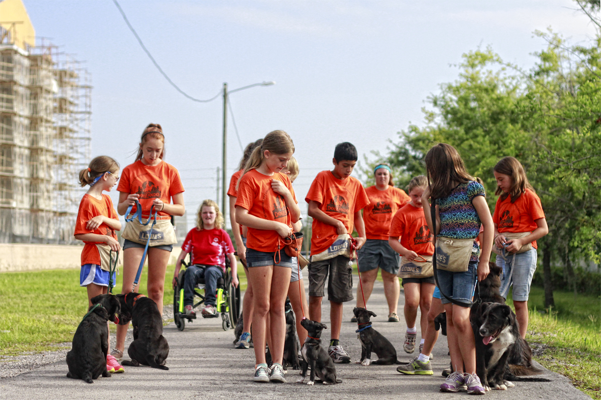 The Doglando Blog Orlando Dog Grooming Orlando Dog Training Dog