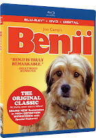 Benji 1974 Remastered DVD and Blu-ray