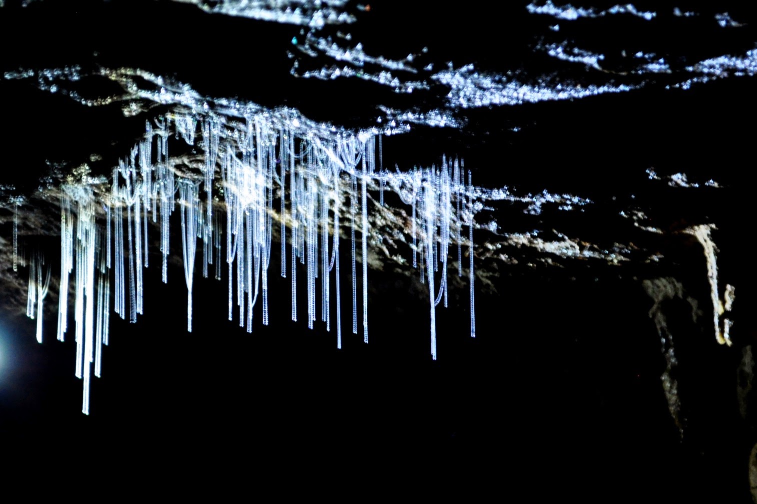 glow worms photography new zealand cave glow worms photography new zealand cave