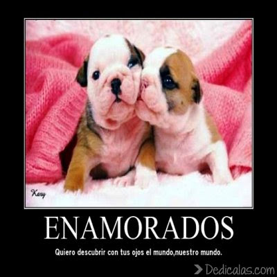 Mensajes con Imágenes lindas de amor para descargar Mensajes con Imágenes lindas de amor para descargar