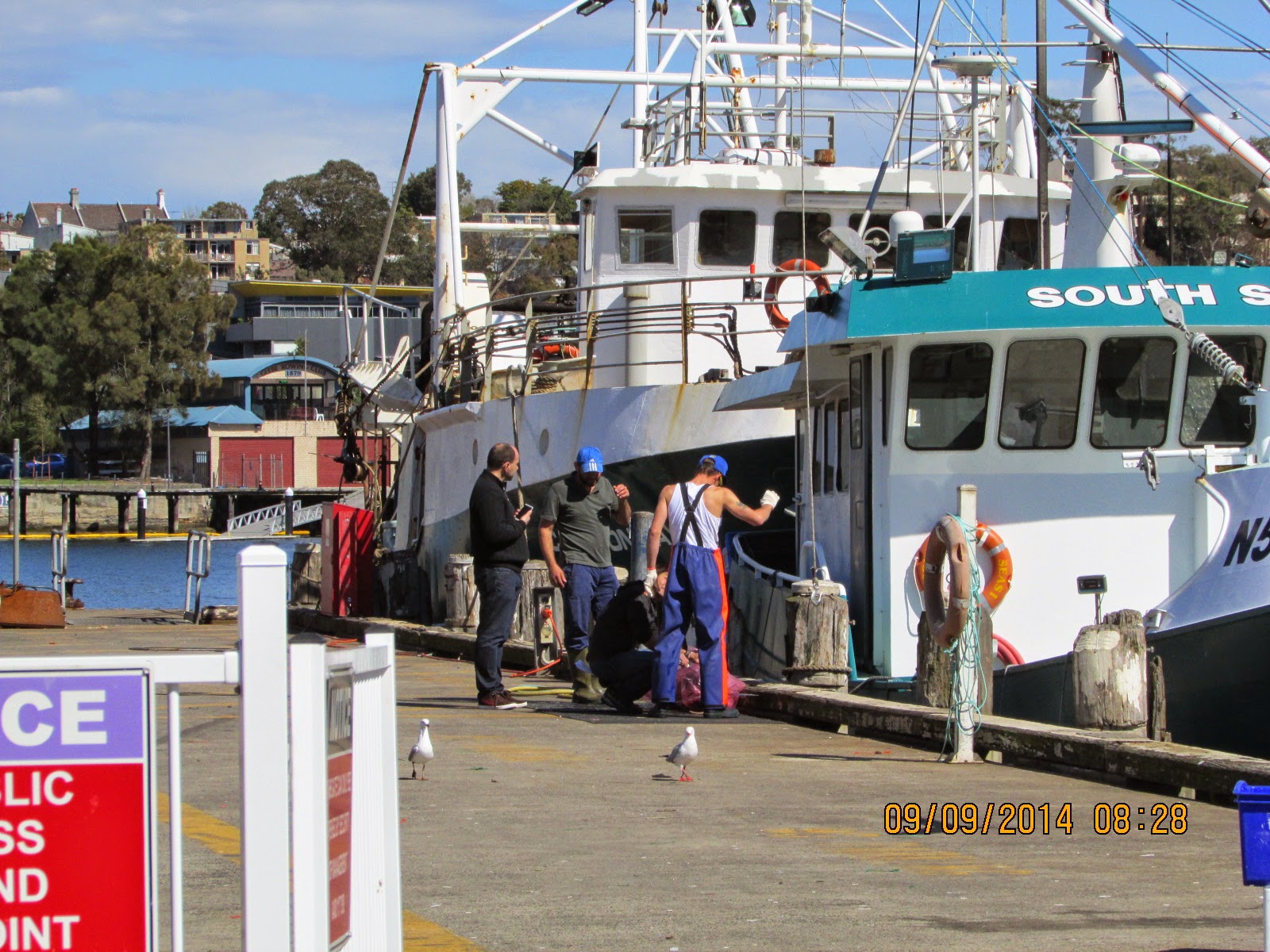 Uniquelious Sydney Fish Market Pyrmont