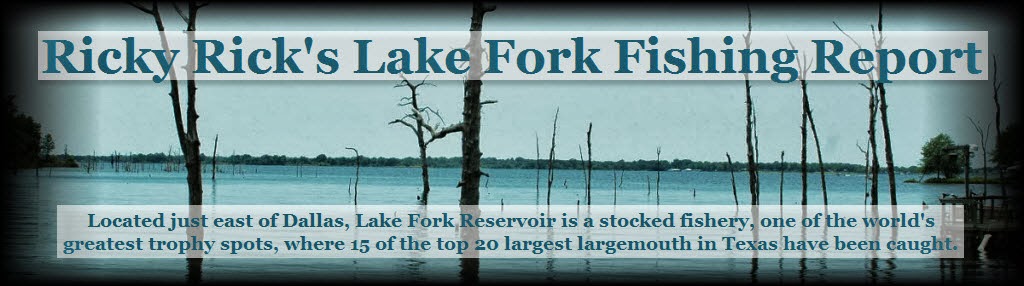 Ricky Rick's Lake Fork Fishing Report