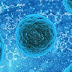 Your Cells Are Listening: How Talking To Your Body Can Help You Heal