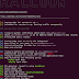 Raccoon - A High Performance Offensive Security Tool For Reconnaissance And Vulnerability Scanning