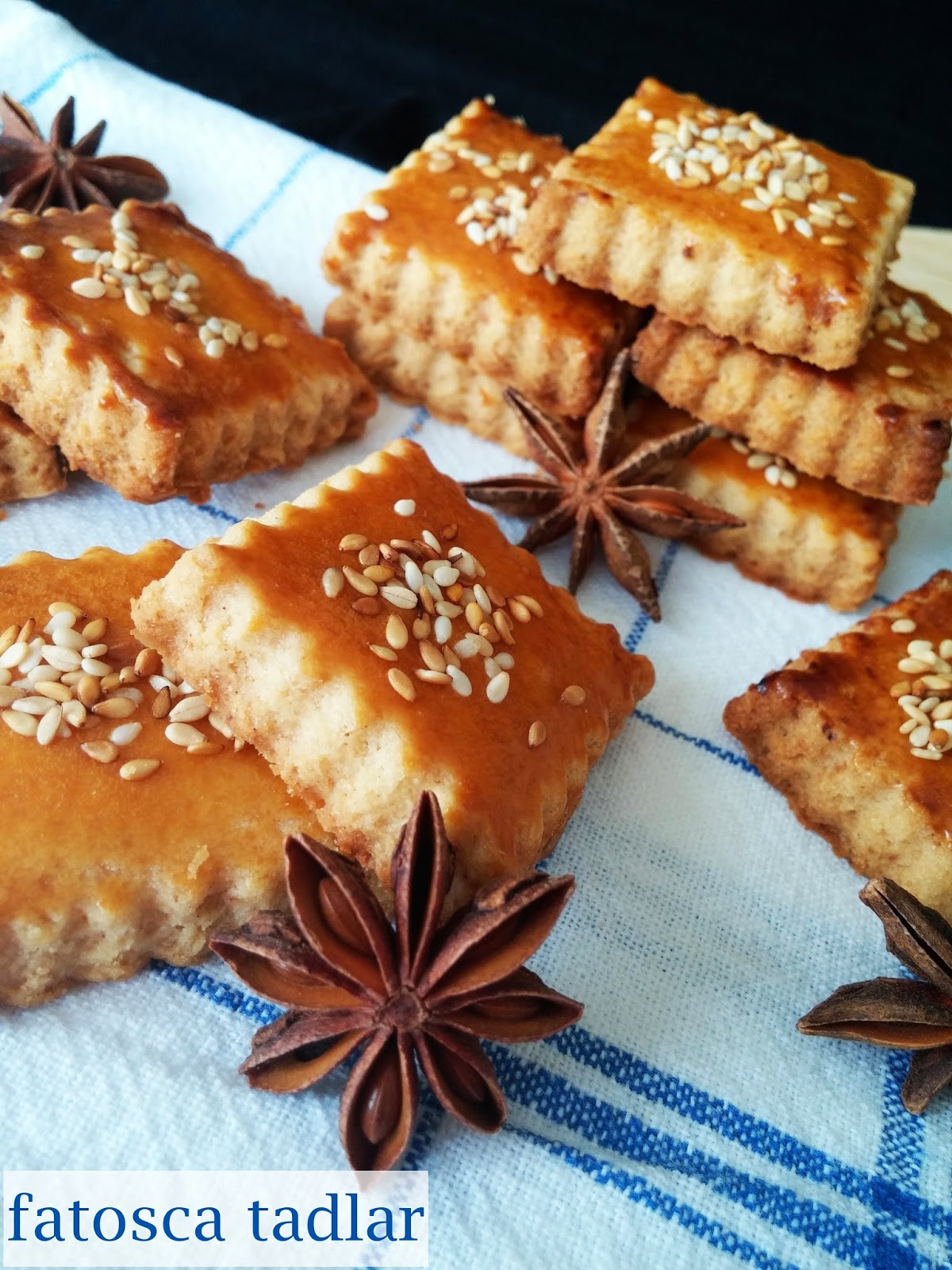 fatosca tadlar ANASONLU TUZLU KURABİYE